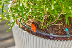 Bewatering|Ecocheques|ohgreen Bewateringsset voor terras