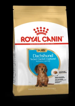 Werelddierendag|Hond Voeding|ohgreen Bhn dachshund puppy 1.5kg