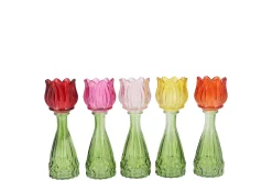 Potten En Vazen|ohgreen Bicolore tulp vaas 7x18