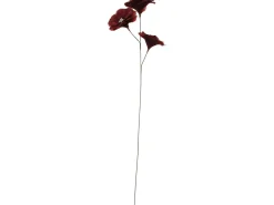 Sfeermakers|ohgreen Bloem veer terra 75cm