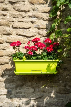 Kunststof|Ecocheques|ohgreen Bloembak relax 60x20h16 lime