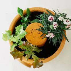 Compostvat|Ecocheques|ohgreen Bloemen composter 2 lagen