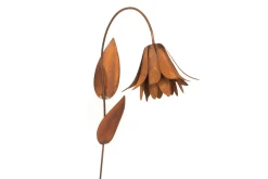 Decoratie|ohgreen Bloemkelk