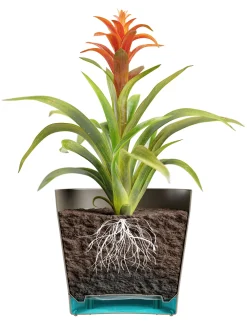 Kunststof|Ecocheques|ohgreen Bloempot Orione 24cm bosgroen
