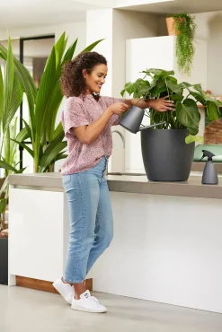 Bewatering|Ecocheques|ohgreen Bloemspuit 0,7l