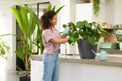 Bewatering|Ecocheques|ohgreen Bloemspuit 0,7l