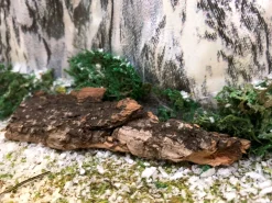 Lemax Kerstdorpen|ohgreen Boomschors kurk 12x18cm