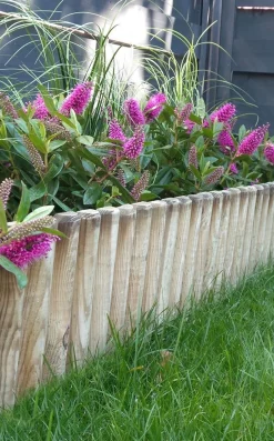 Ecocheques|Tuinafsluiting En Hout|ohgreen Borduur Pinede