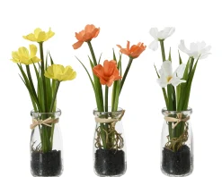 Sfeermakers|ohgreen Calliopsis