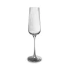 Servies|ohgreen Champagneglas 24cl ray - set/4
