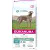 Werelddierendag|Hond Voeding|ohgreen Daily care sensitive joints