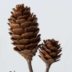 Sfeermakers|Herfst|ohgreen Decoratietak