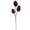 Kerstdecoratie|ohgreen Dennekegel tak 55cm bruin
