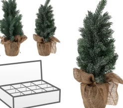 Kerstbomen|ohgreen Dennenboom in pot