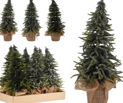 Kerstbomen|ohgreen Dennenboom in pot