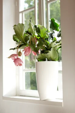 Ecocheques|Potten En Vazen|ohgreen Diamond hoog 27cm