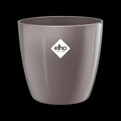Ecocheques|Potten En Vazen|ohgreen Diamond orchidee hoog 20cm