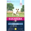 Hond Voeding|Werelddierendag|ohgreen Dog thriving mature small breed