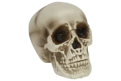Sfeermakers|Halloween|ohgreen Doodskop natuur