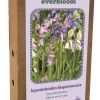 Ecocheques|Bloembollen|ohgreen Doos 'everbloom' met 25 bloembollen hyacinthoides hisp. mix