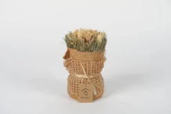 Sfeermakers|ohgreen Droogbloemen