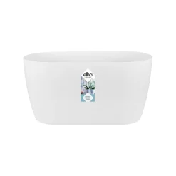 Ecocheques|Potten En Vazen|ohgreen Duo orchidee 25cm