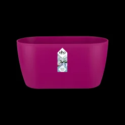 Ecocheques|Potten En Vazen|ohgreen Duo orchidee 25cm