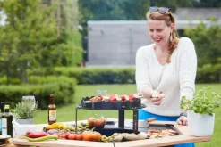 Accessoires En Onderhoud|ohgreen Dynamic Centre / Brochettehouder