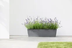Kunststof|Ecocheques|ohgreen ECOPOTS BRUGES 55CM, GRS