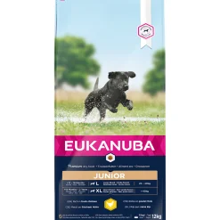 Werelddierendag|Hond Voeding|ohgreen Euk dog developing junior large breed