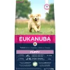 Hond Voeding|Werelddierendag|ohgreen Euk dog puppy&junior large lamb&rice