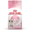Kat Voeding|Werelddierendag|ohgreen Fhn kitten 2kg