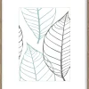 Sfeermakers|ohgreen fotolijst brasil bruin (fsc 100%) 21x30 cm