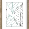 Sfeermakers|ohgreen fotolijst brasil bruin (fsc 100%) 10x15 cm