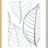 Sfeermakers|ohgreen fotolijst brasil natuur (fsc 100%) 18x24 cm