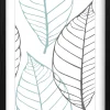 Sfeermakers|ohgreen fotolijst brasil zwart (fsc 100%) 13x18 cm