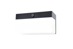 Verlichting|Ecocheques|ohgreen Fran wandamp zwart led 9.7w