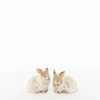 Sfeermakers|ohgreen Fun konijn l beige