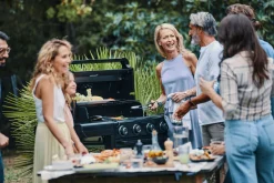 Bbq|ohgreen Gasbarbecue 4 Series Onyx S