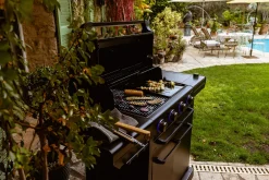 Bbq|ohgreen Gasbarbecue 4 Series Onyx S