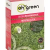 Zaden|Maak Je Tuin Lenteklaar|ohgreen Gazonzaad herstelgazon 1kg