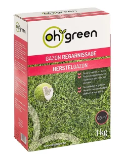 Zaden|Maak Je Tuin Lenteklaar|ohgreen Gazonzaad herstelgazon 1kg