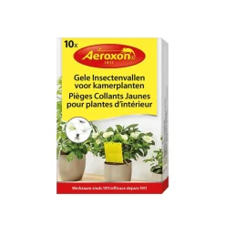 Vliegen En Wespen|ohgreen Gele insectenvallen voor kamerplanten