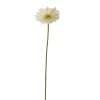Sfeermakers|ohgreen Gerbera creme 56 cm