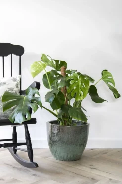 Aardewerk|ohgreen Glazed egg pot moss green