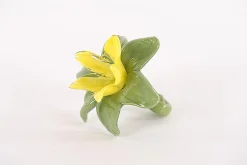 Potten En Vazen|ohgreen Glazen amaryllis bloem