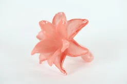 Potten En Vazen|ohgreen Glazen amaryllis bloem