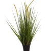 Sfeermakers|ohgreen Gras m/kattest pot 75cm groen