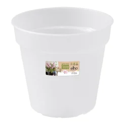Kunststof|Ecocheques|ohgreen Green basics orchidee 13