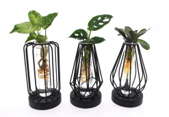 Composities En Terrariums|Ecocheques|ohgreen Groenmix in glas + led
